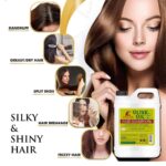 2L ROSHUN OLIVE OIL HAIR SHAMPOO AND HAIR MAYONNAISE - Image 4